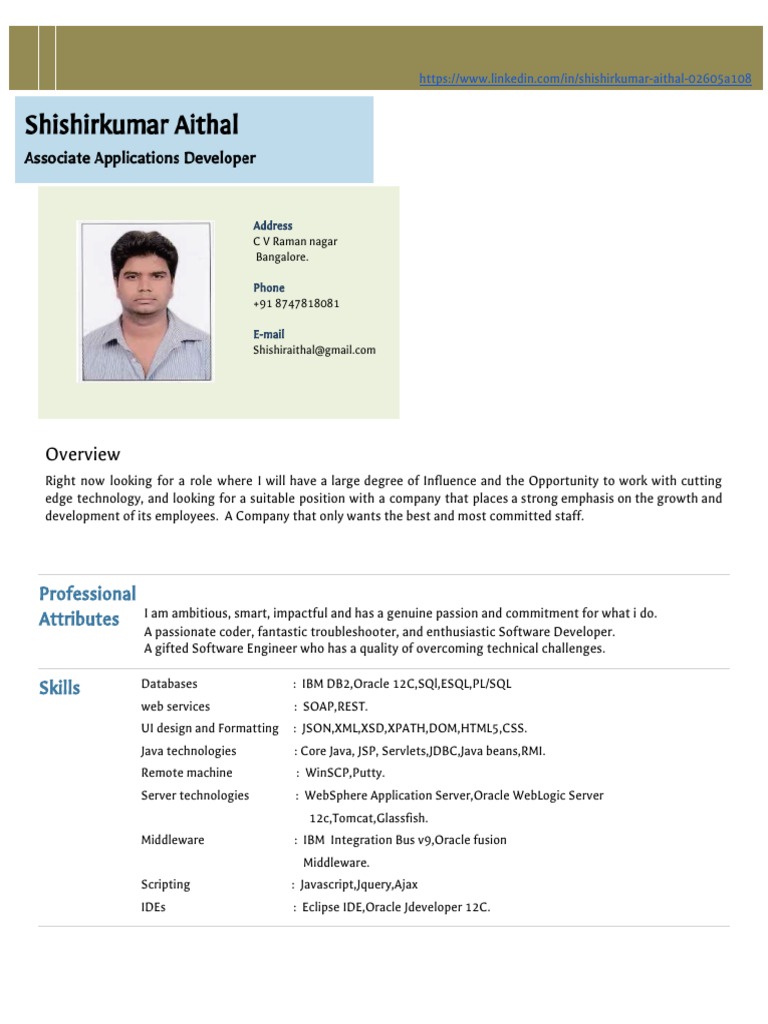 Software Developer Resume Overview | PDF | Web Service | Oracle Corporation