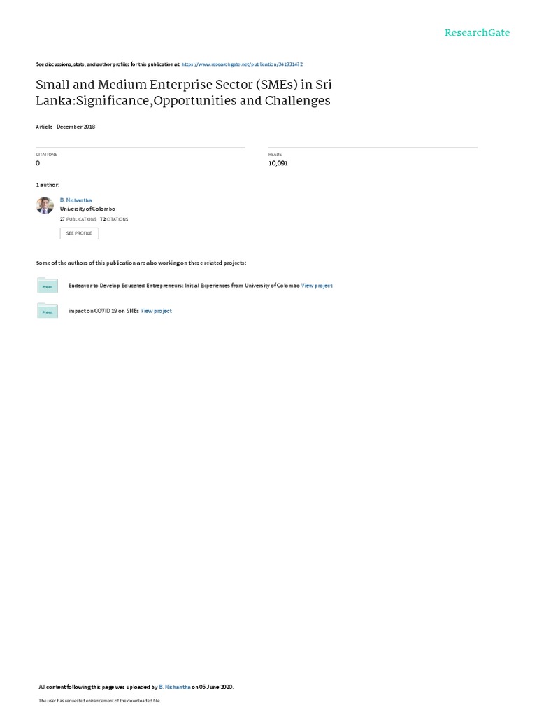 SMEs in Sri Lanka: Significance & Challenges | PDF | Small And Medium ...