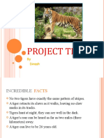 Project Tiger: by Dinesh