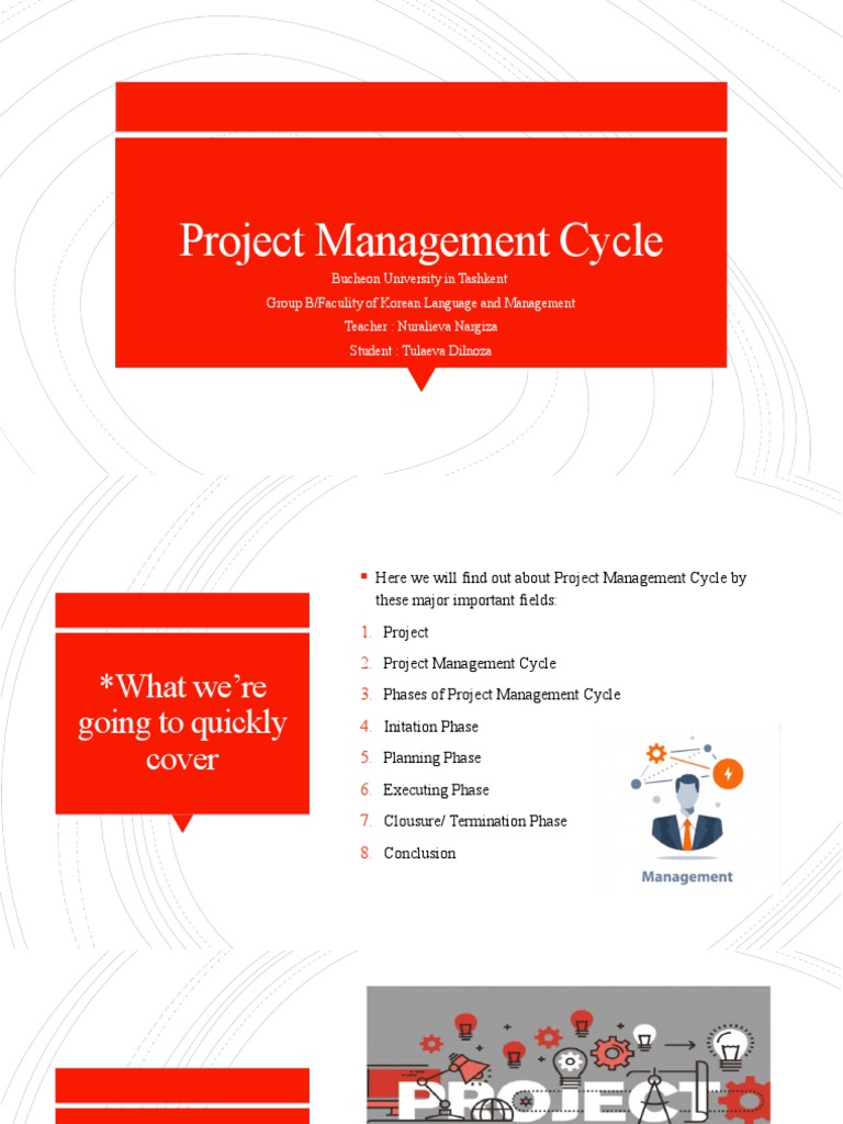 Project Management Cycle | PDF | Project Management | Accountability