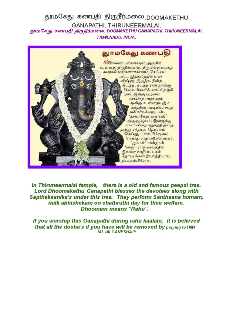 In Thiruneermalai Temple PDF