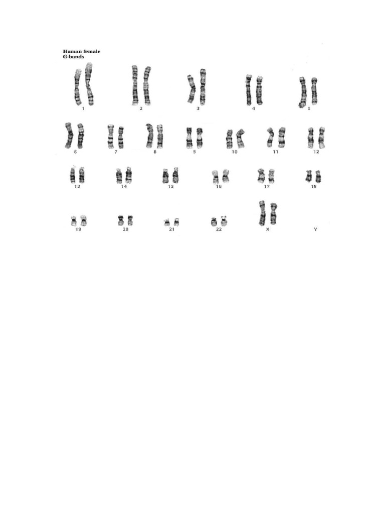 Clasificación de Cromosomas de Denver | PDF