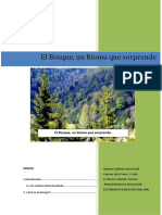 Bioma Bosques