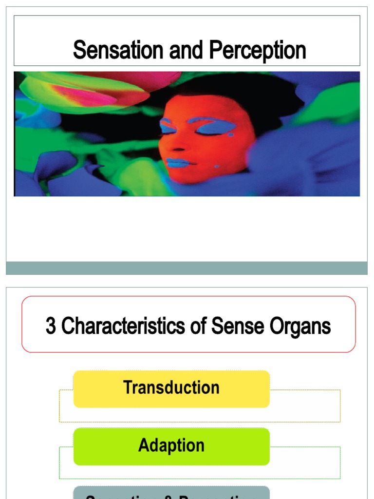 Understanding Sensation and Perception | PDF | Hearing | Ear