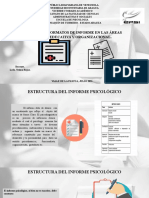 Estructura, Formatos de Informe en Las Áreas Clínica, Educativa y Organizacional.