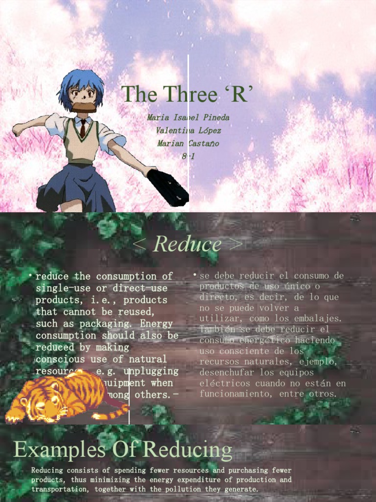 The Three Rs: Reduce, Reuse, Recycle | PDF | Reuse | Environmental ...