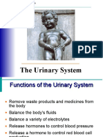 Urinary Final