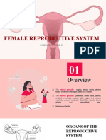 Female Reproductive System: Dominguez, Nikka E