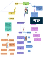 Mapa de Proceso de Reclutamiento y Selección