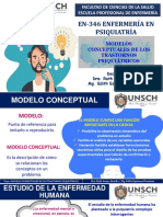 Modelos conceptuales psiquiátricos