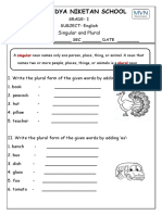 singular & plural worksheet-converted