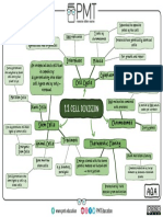 1.2 Cell Division