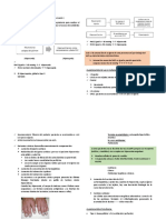 Fisiopatologia Respiratoria Clase 2