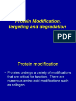 Protein Modification, Targeting and Degradation