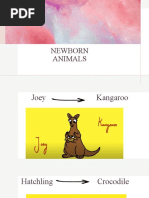 Complete Adopt Me Pets List | PDF