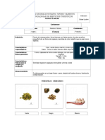 Fichas Bromatologicas