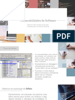 1.1 Vulnerabilidades de Software PDF