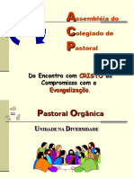 PASTORAL DE CONJUNTO