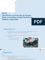 DS 54: Orientación A Prevención de Riesgos Roles y Funciones Comité Paritario de Higiene y Seguridad
