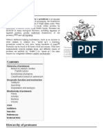 Protease: Hierarchy of Proteases