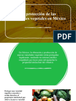 La protección de las variedades vegetales en México
