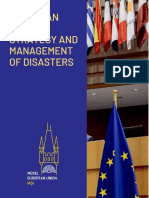 European Crisis Strategy and Management of Disasters