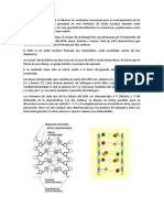 Las Bases Nitrogenadas2