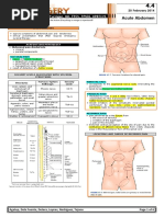 Surgical Site Marking Protocols and Policy | PDF | Patient Safety | Surgery