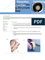 Procedure Materials: Cornea Optic Nerve Scler A