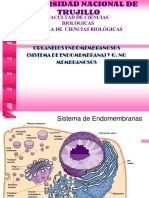 Organelos Endomembranosos y No Membranosos