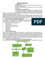 Impacto Ambiental-Examen Final