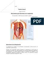 Respiración abdominal y músculos para la fonación