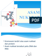 Dna, Rna, Dan Kodon