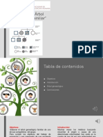 Embriologia PRAC - EXPON°1-ÁRBOL GENEALÓGICO