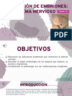 Embriología PRAC- EXPON°11-OBSERVACION DE EMBRIONES
