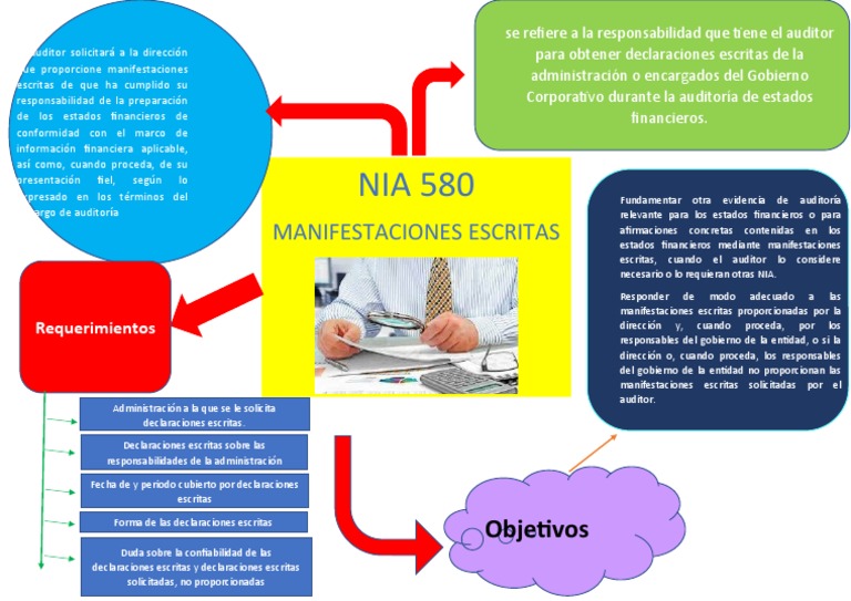 Nia 580 | PDF | Auditoría | Contralor