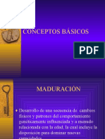 CONCEPTOS BÁSICOS (ps. ap)