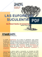 Las Euforbias Suculentas