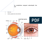 Mengerti Struktur dan Fisiologi Mata
