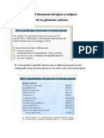 Tema 3 Neoplasias Benignas y Malignas