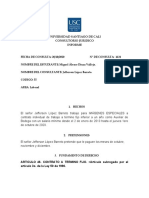 Informe Consulta Jefferson Lopez