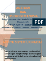 FIX SISTEM URINARIA