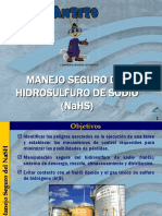 Manejo Seguro Del NaSH (v.2007)