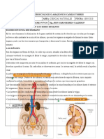 Ciencias Naturales