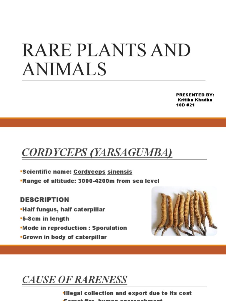 Rare Plants and Animals Presented By Kritika Khadka 10D 21 PDF