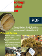 Teknologi Produksi Durian