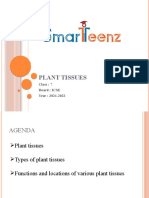 Plant Tissues: Class: 7 Board: ICSE Year: 2021-2022