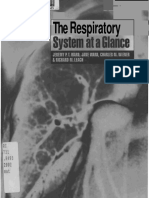 At A Glance - Respiratory System Text