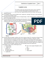 Unit 5 Lymphatic System