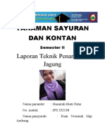 Tanaman Sayuran Dan Kontan